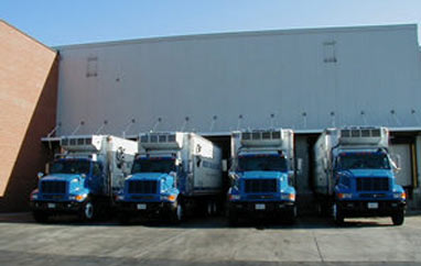 A team of our trucks posing for a photo