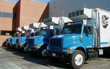 A team of our trucks posing for a photo